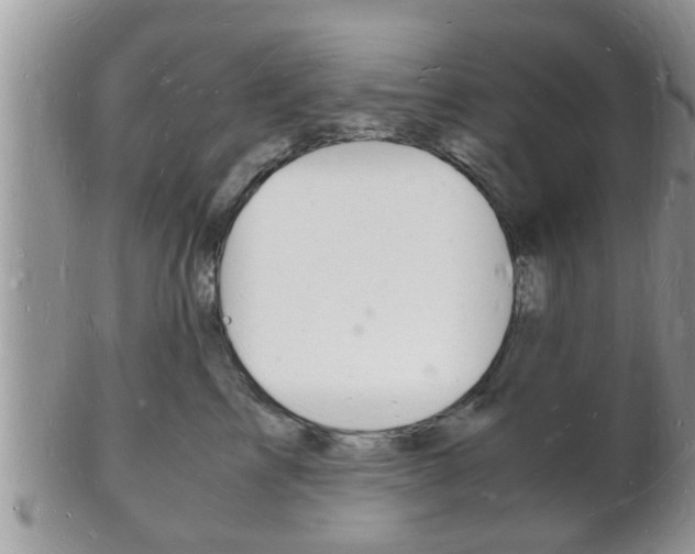 X0000102780713200808180931