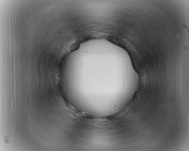 X0000102780716200808180931