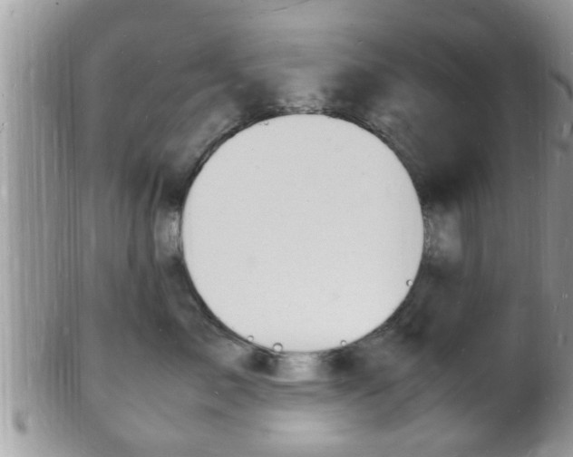 X0000102780717200808180931