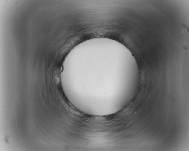 X0000102780719200808180931
