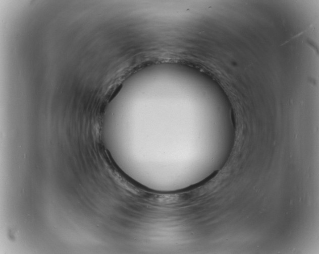 X0000102780720200808180931