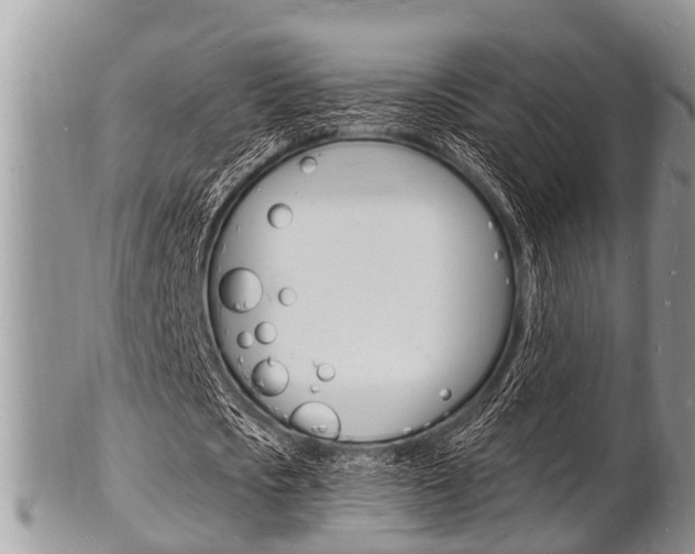X0000102780721200808180930