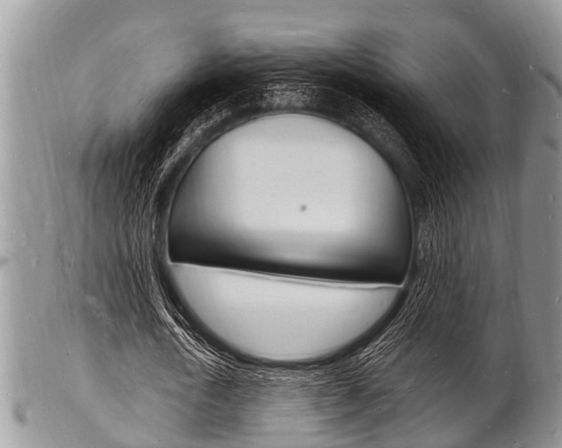X0000102780722200808180930