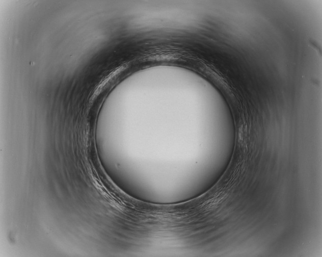X0000102780724200808180930