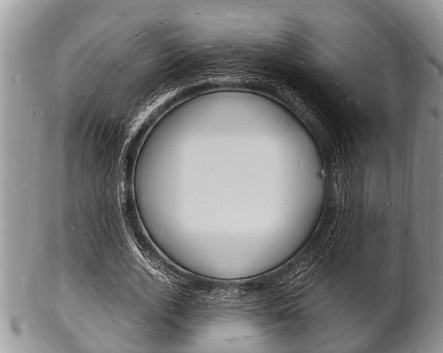 X0000102780728200808180930
