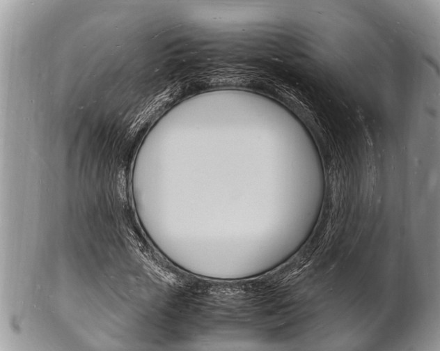 X0000102780729200808180930