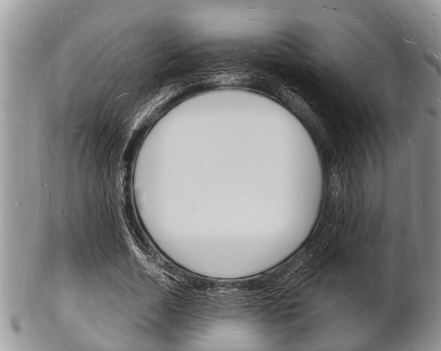X0000102780730200808180930