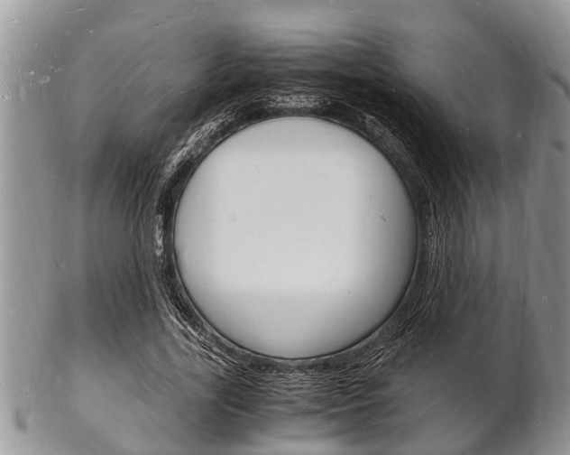 X0000102780731200808180930