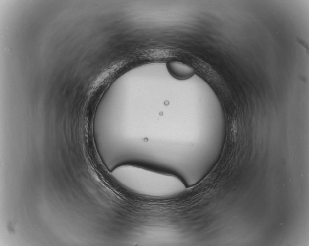 X0000102780732200808180930