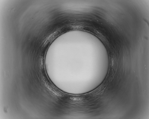X0000102780733200808180930