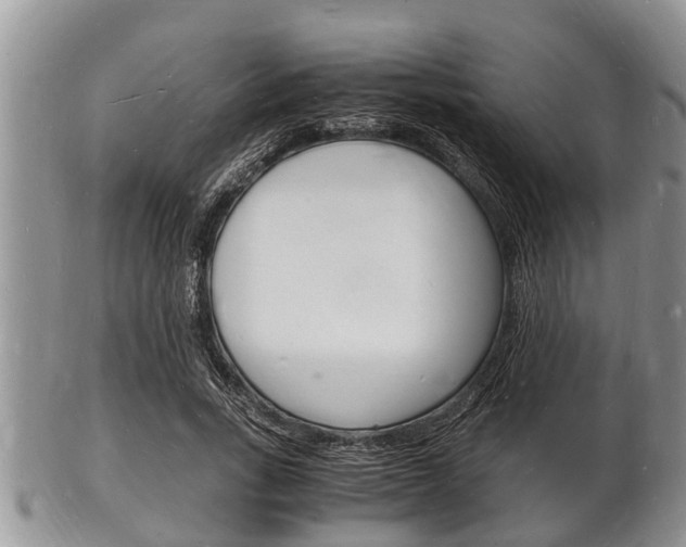X0000102780735200808180930