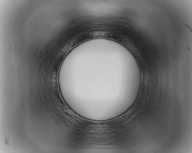 X0000102780737200808180931