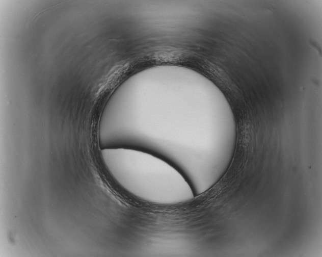X0000102780738200808180931