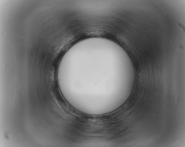 X0000102780739200808180931