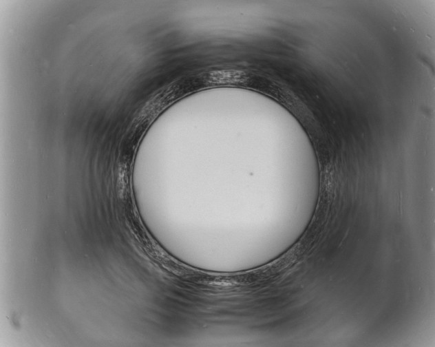 X0000102780741200808180931