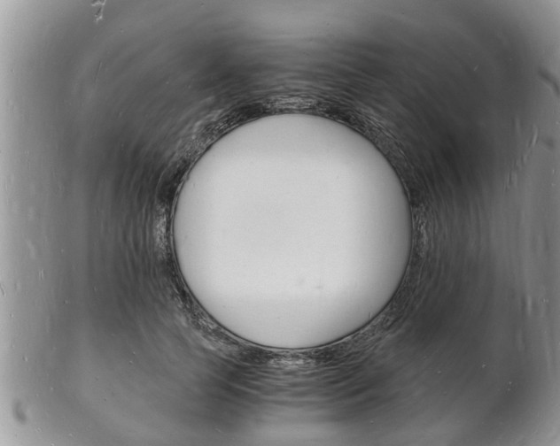 X0000102780745200808180931