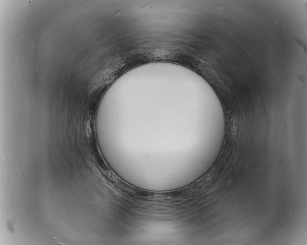 X0000102780746200808180931