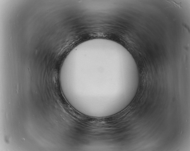 X0000102780747200808180931