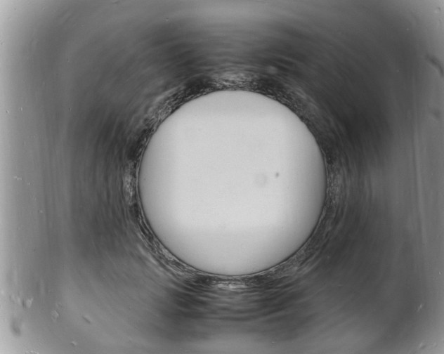 X0000102780749200808180931