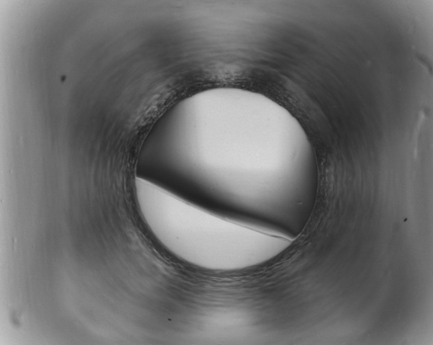 X0000102780750200808180931