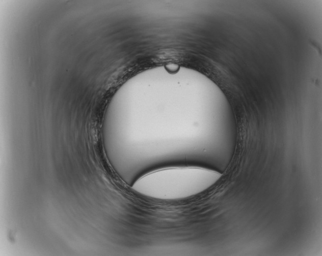 X0000102780751200808180931