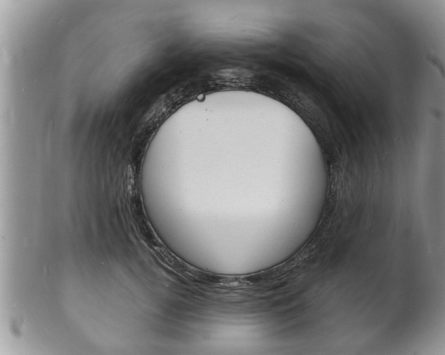 X0000102780752200808180931