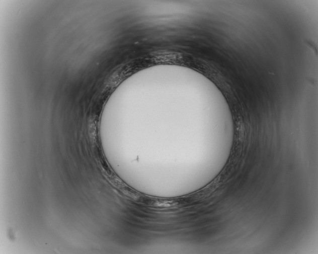 X0000102780753200808180931
