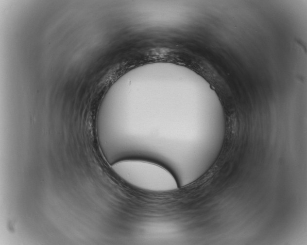X0000102780754200808180931