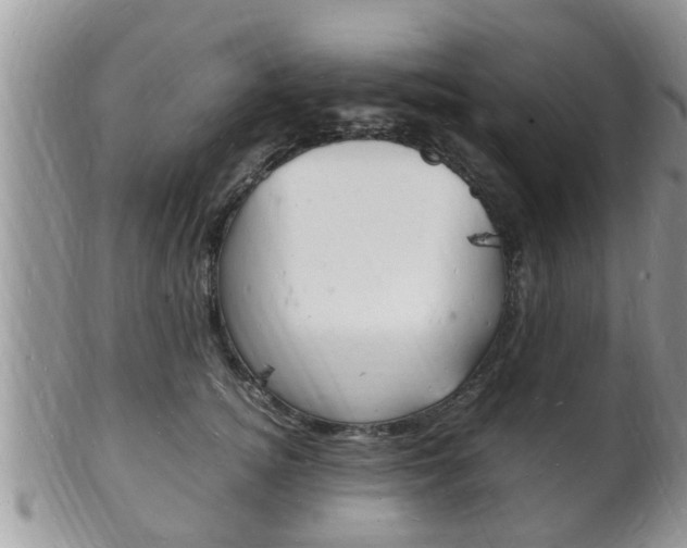 X0000102780756200808180931