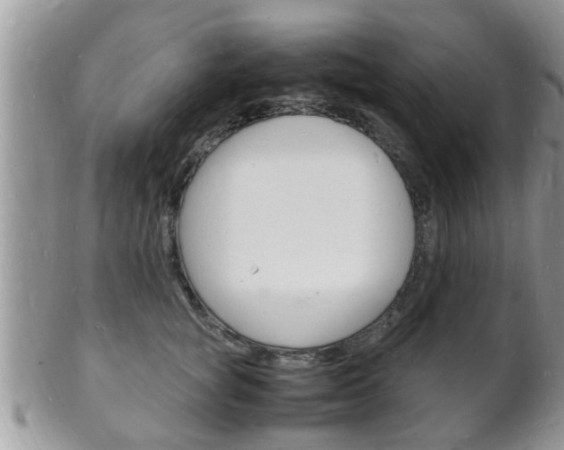 X0000102780757200808180931