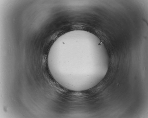 X0000102780759200808180931