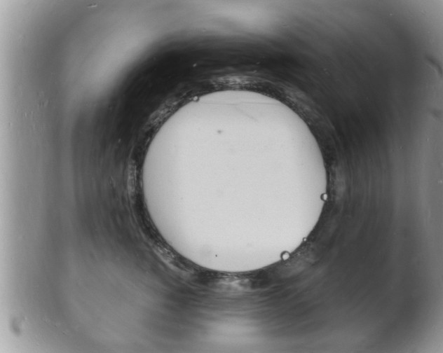 X0000102780760200808180931