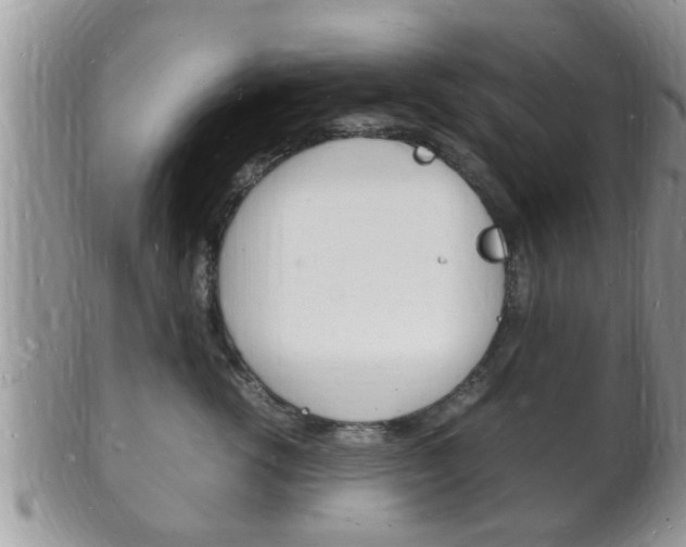 X0000102780762200808180931