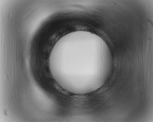X0000102780763200808180931
