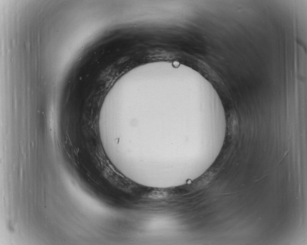 X0000102780764200808180931