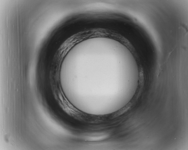 X0000102780765200808180931