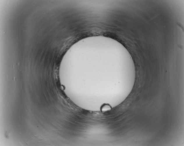 X0000102780768200808180931