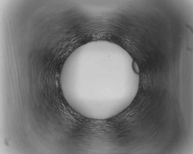 X0000102780770200808180930