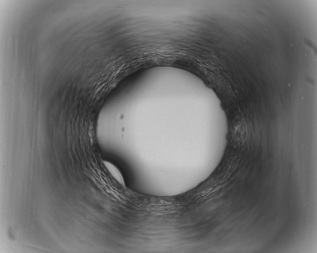 X0000102780772200808180930