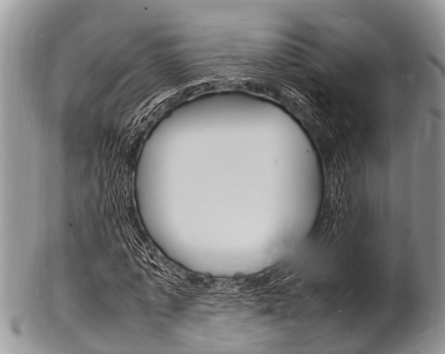 X0000102780773200808180930