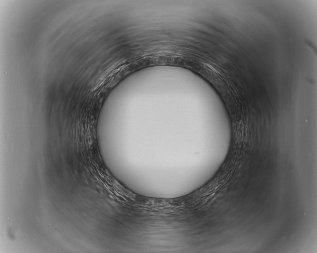 X0000102780774200808180930