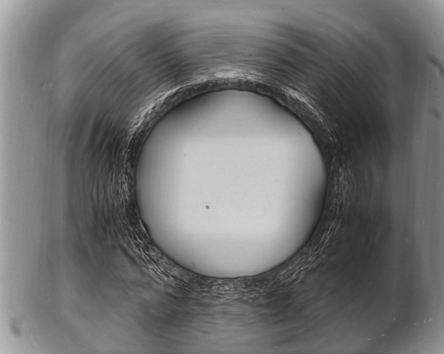 X0000102780776200808180930
