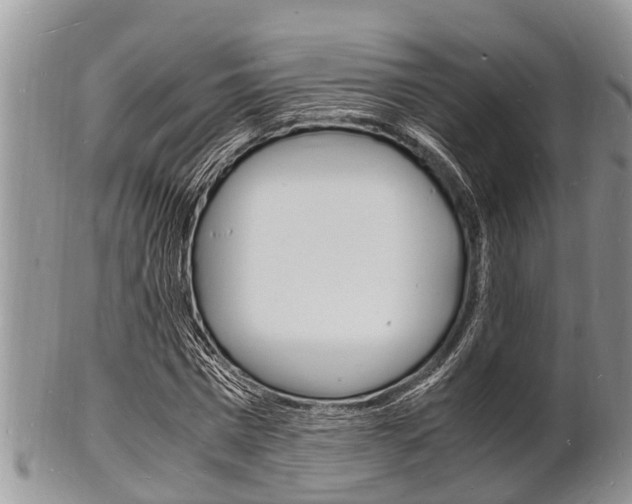 X0000102780777200808180930