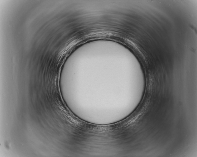 X0000102780778200808180930