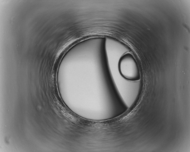 X0000102780779200808180930