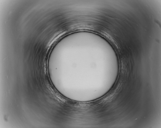 X0000102780782200808180930