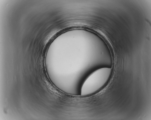 X0000102780783200808180930