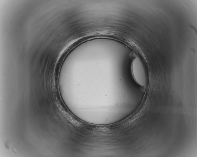 X0000102780784200808180930