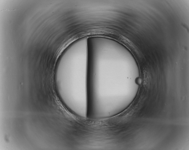 X0000102780786200808180930