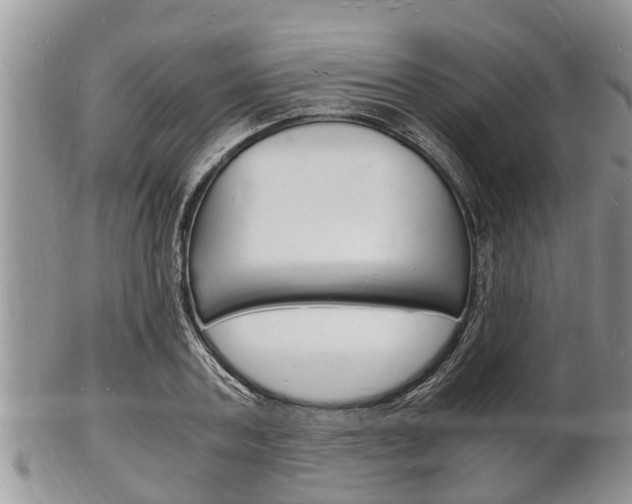 X0000102780787200808180930